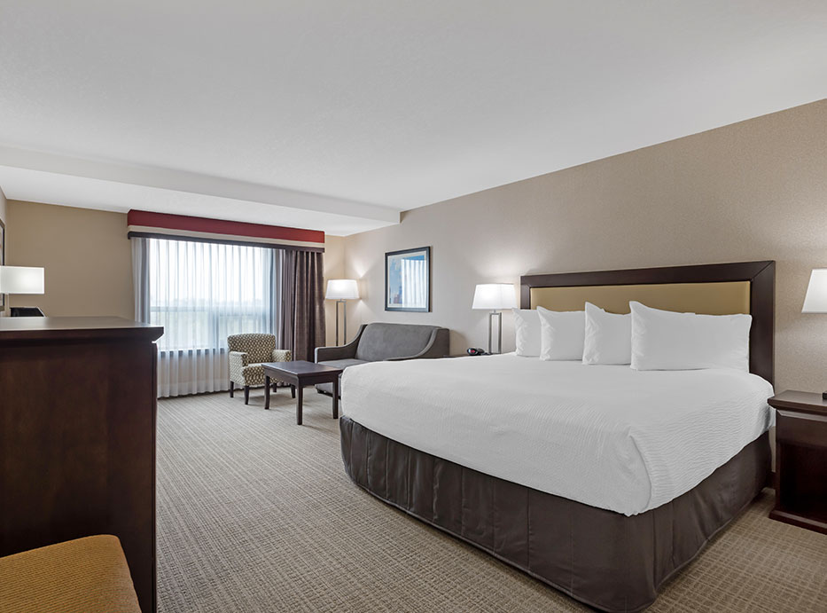 Comfortable Accommodations